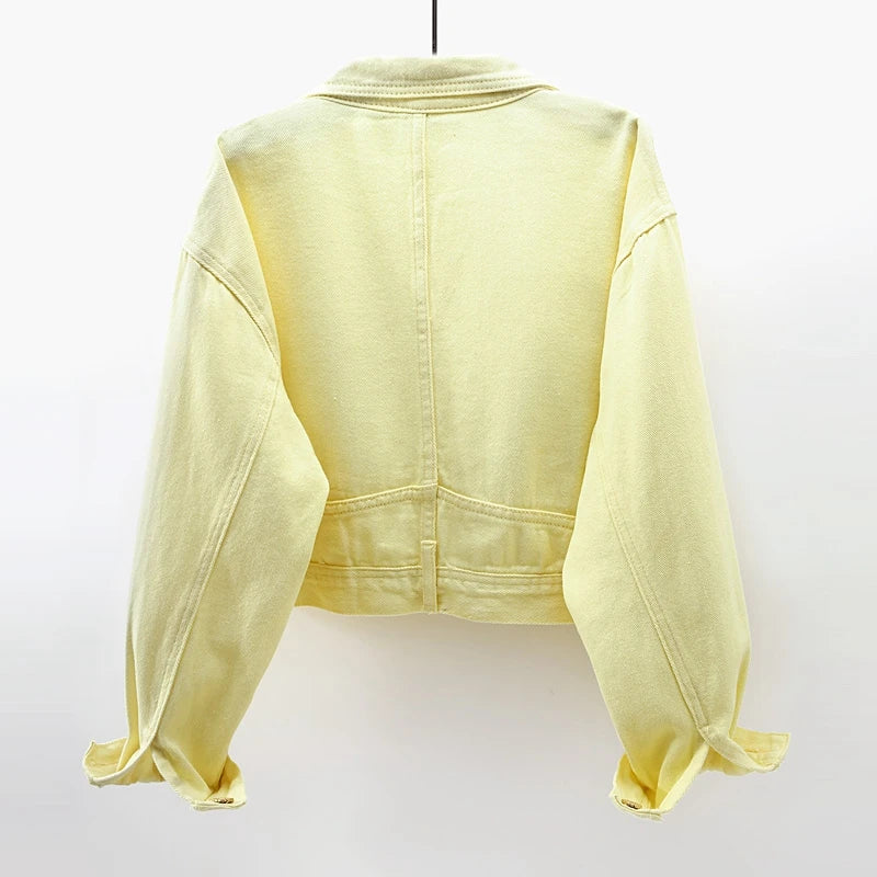 Embroidery Crop Denim